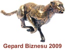 Gepardy biznesu 2009